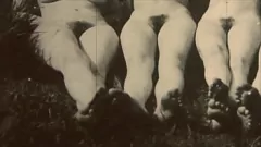Jouer Figa retrò pelosa in un incontro vintage pieno di vapore