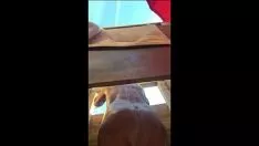 French gilf shower down