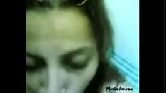 Oynat الوطن العربي والعالم كله