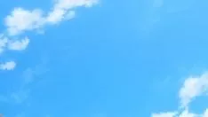 Jouer 验证视频